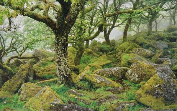 - on , Print by Alistair Common, measuring 19 x 28 cm (H x W) framed at 30 x 40 cm £30
